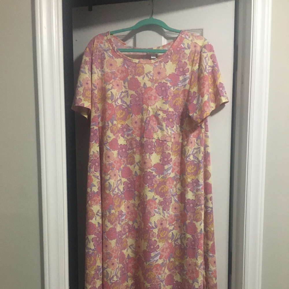LulaRoe Carly 2x